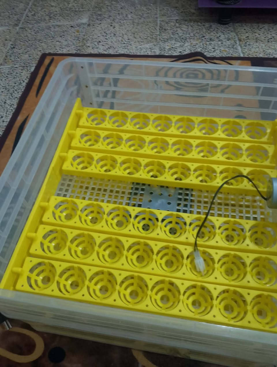 السلام عليكم فقاسه فول اوتماتيك 96بيظه جديده غير مستخدمه للمراوس بفقاسه اكبر يعني 300بيظه تصنيع محلي ونطي فرق لعنده يجي خاص ونتفق


**إذا كنت صاحب هذا الإعلان وتريد حذفه لأي سبب، رجاءا أرسل رسالة إلى الدعم الفني**