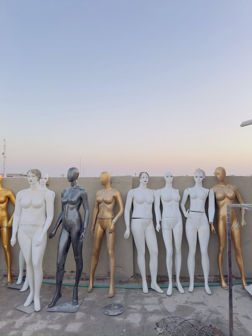 مليكانات للبيع ب ٢٠ فقط  مكاني نجف مكتب الرشيد ***********
