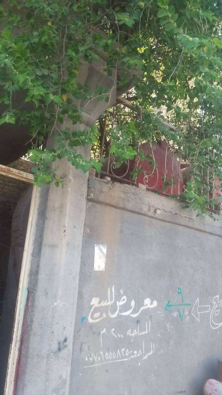 بيع بيت مستعجل البيت يقع في حي الشهداء السايدين الفرع الاول ركن خلف بيت سامي لفته المسعودي المساحة الكلية ٢٢٥متر طابقين يحتوي البيت على غرف خمسة وحمامات ومطبخ واستقبال البناء، طابوق ٢٠١٧ المعلومات الاتصال مع صاحب البيت السعر المطلوب ١٣٠ وبيه مجال للشراي‏(‪***********‬‏)
