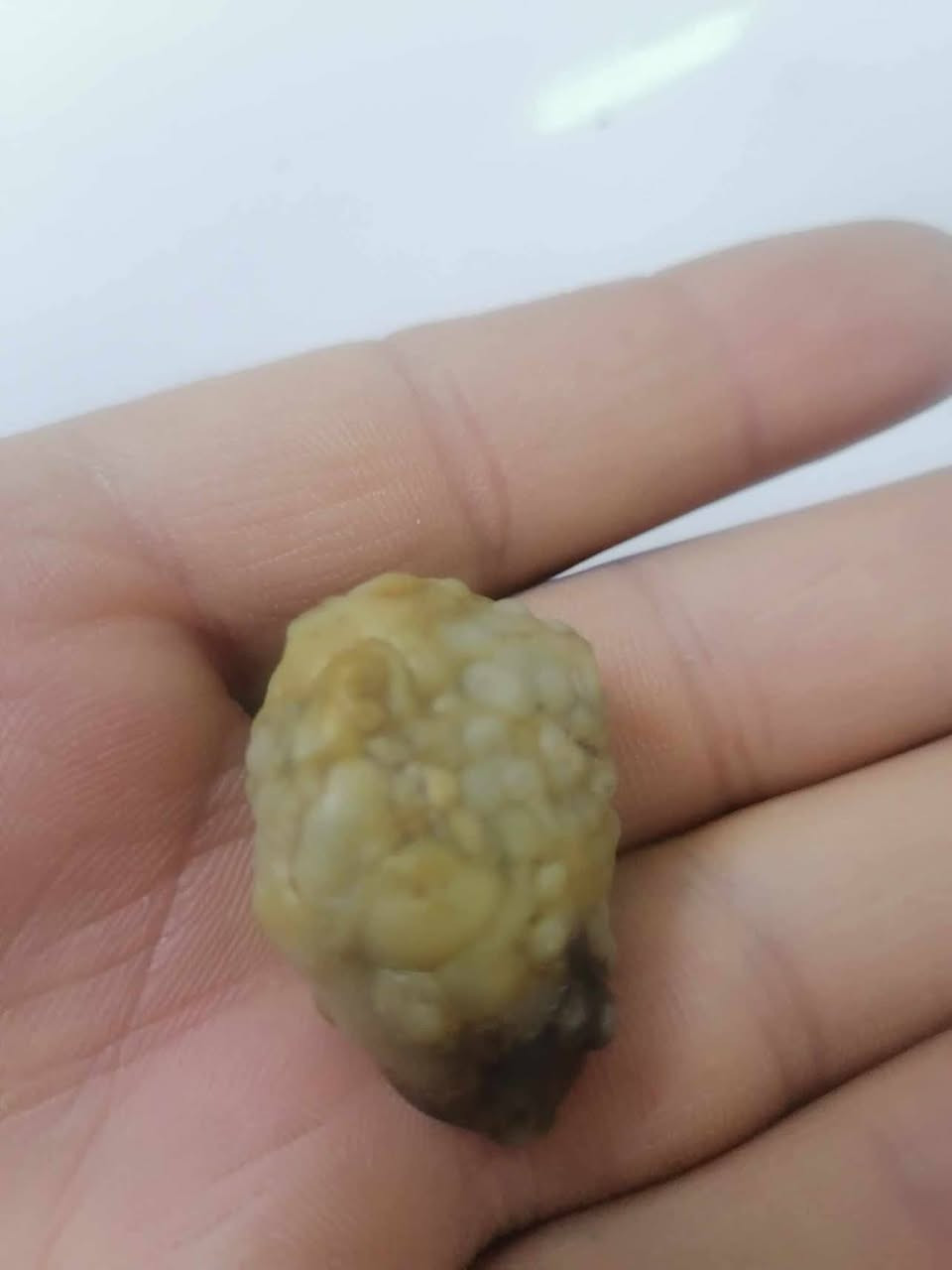 الزوعه المعطفه العجيبه سعره بس 25الي يريده يجي واتساب  ***********
