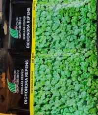 محل تجاري • قرب ابو لاوان