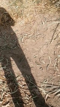 كاروضة للبيع نظيفة حجم كبير وحديد ثقيل جاهزة للعمل الرقم ٠٧٨١٣٠٦٧١٥٨