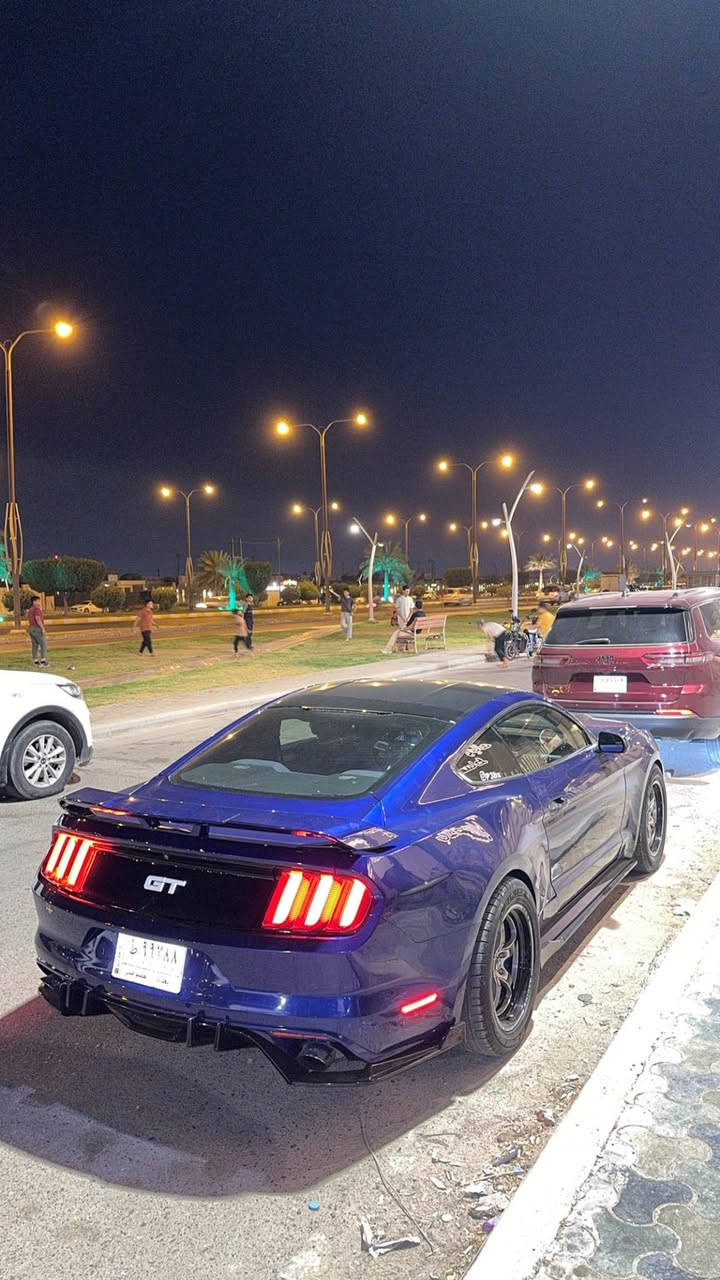 موستنك v6 موديل 2015
اذا اكو مراوس ب 8 وانطي فرق مو مشكله
ماشيه 80 مايل 
كير مكينه اكسل كفاله 
-اربع مودات قيادة
-شاشة سينك 3 كاربلاي 
-كيجات برميوم 7 الوان
 -كت دفيوزر ولحيه ودوسات جانبيه كاربون فايبر 
 - ويل ويلد فورجد شكل الجديد جديد ما مستخدم 
-دبات روش وحلوك روش 
-بوابات اكزوس شغل علي الوادي
-اكس بايب 
-تفريغ 
-برمجة بوب كورن وكت اوف برمجة طلال 
-عداد obd قرائات السياره كامله ومسح كودات كلشي بي  
-دهن گير وفلتر قبل شهر بدلتهن كله موتر كرافت ودچة كير جديده 
-صدره كله جديد متسمع لو طكه
السياره صاروخ بمعنى الكلمه بل عافيه عل ياخذه ومن اقوه الموستنك ال v6 بل عراق  
حادثه 3 قطع ووحده كلير جاملع خلفي وباب جهة الراكب وجاملغ ايسر جهة السائق مبدل نفس اللون  لغود شواصي تكم كلهة كفاله  وسنويه جديده باسمي لحد يقارنه بل محزمات والي بيهن شاصي 
 مكاني الانبار بغداد *********** واتساب واتصال 
سعرها 148 وبيها مجال بسيط الرمادي, الأنبار
