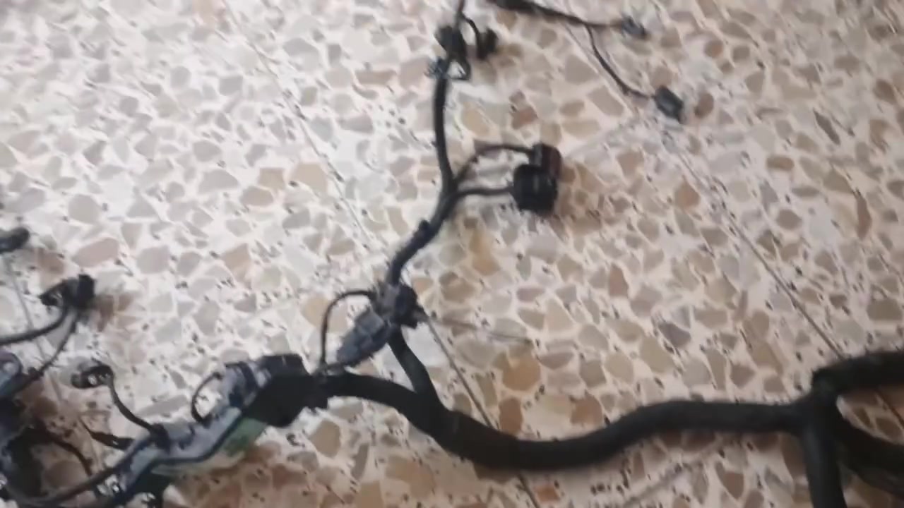 ضفيره مثيره النترا من 11 الى 15 للبيع استفسار***********
