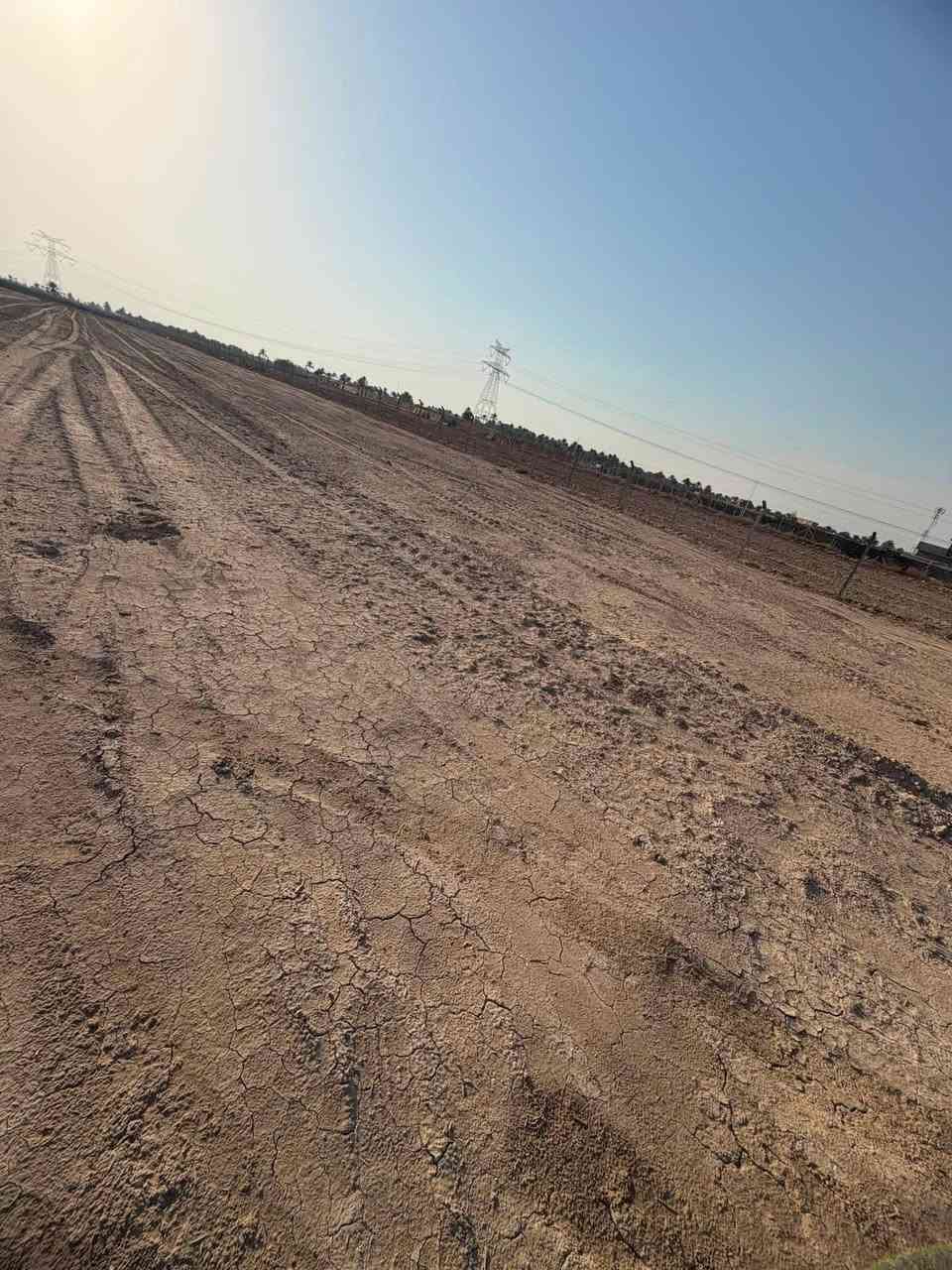 🔥🔥 عرض لفترة محدودة 🔥🔥

🏡 فرصة مميزة لامتلاك قطعة أرض بمساحة 200 متر بموقع ممتاز.

💰 السعر: 10 ملايين دينار عراقي فقط
✅ سعر نهائي بدون أي عمولة

📍 المميزات:
✅ كهرباء وماء متوفرة
✅ تبعد 150 متر فقط عن تبليط المنطقة
✅ تبعد 2.5 كم فقط عن شارع الحلة – النجف
✅ الموقع: بعد جامعة بابل – أول فرع على اليمين
✅ صنف الأرض: طابو زراعي – سند 25 مداور مباشر

⏳ الكمية محدودة والعرض لفترة محدودة، بادر بالحجز قبل نفاد القطع.

📞 للاستفسار والحجز، راسل الصفحة أو تواصل معنا مباشرة.
***********
