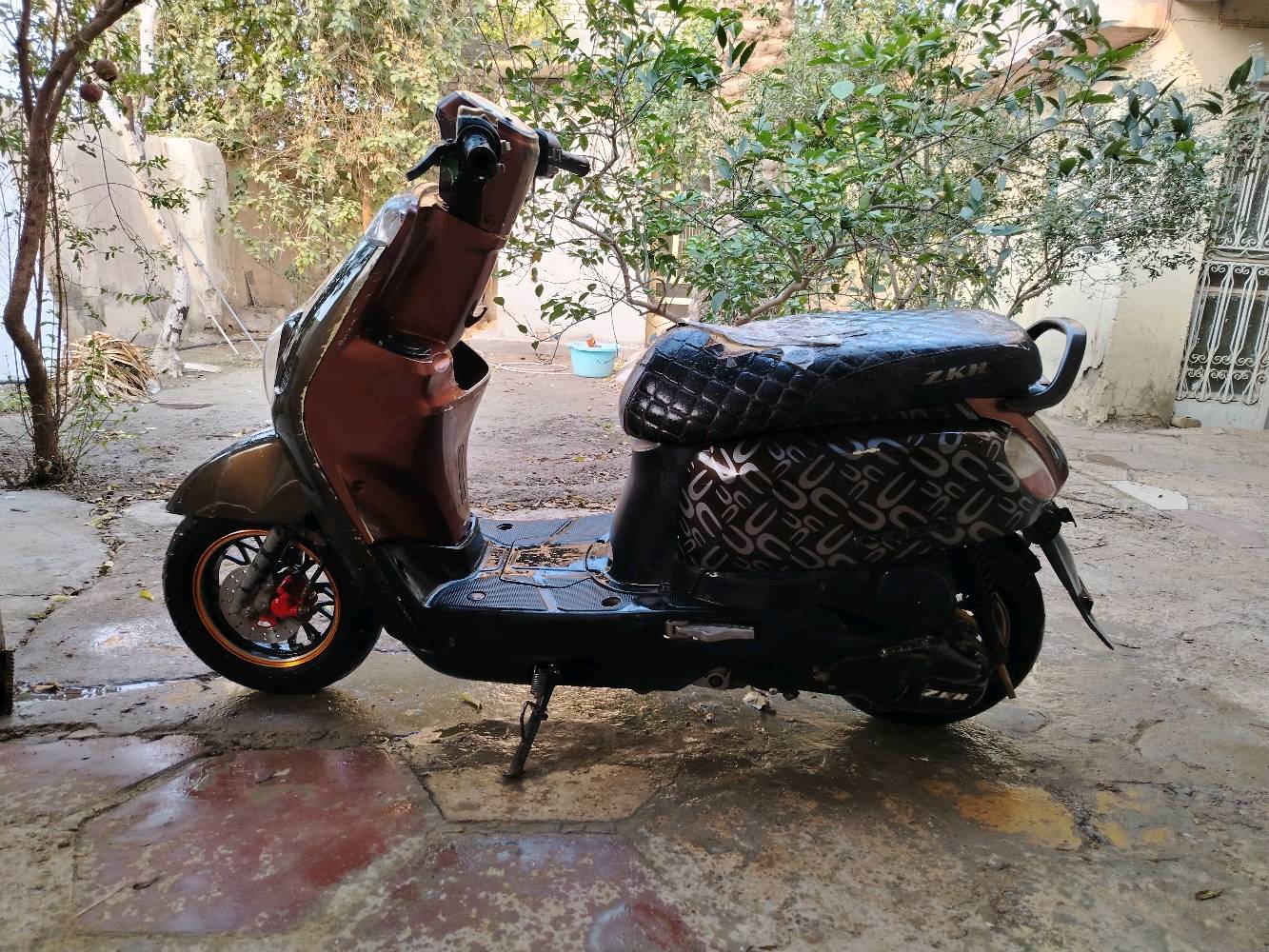 بابل حي الاساتذه شارع عميد قيس