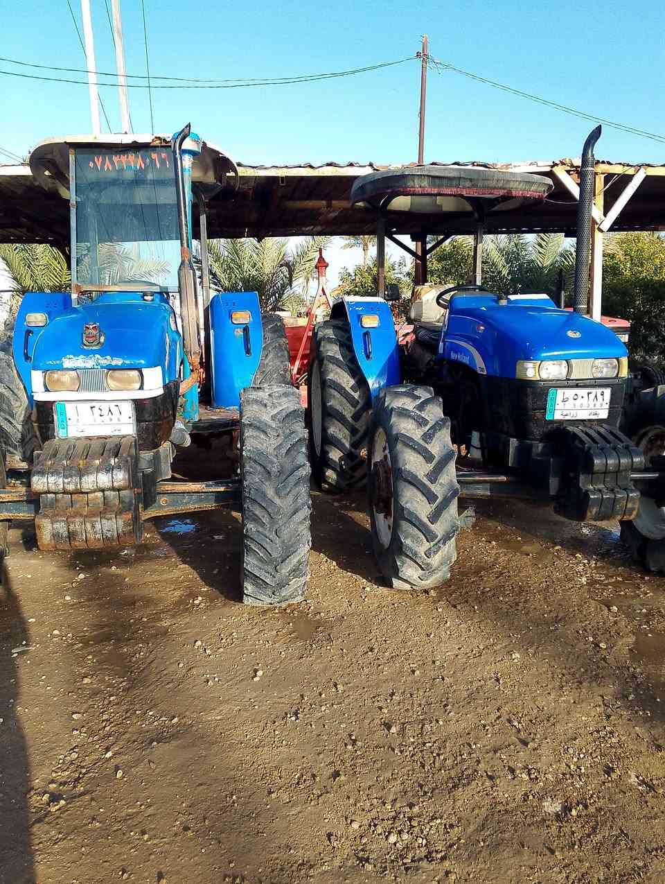 الموقع  :بابل الحمزة الغربي الخميسيه
الرقم :***********
