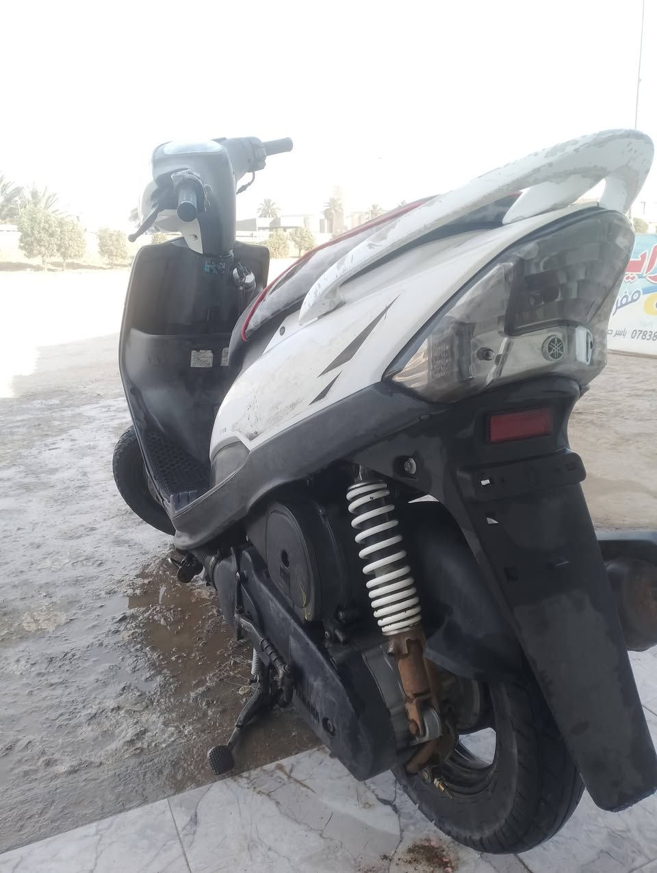 عدله بلاديه أقل شهر من نازله كفاله عامه بلاديه ختم واحد
حله  مركز

***********
