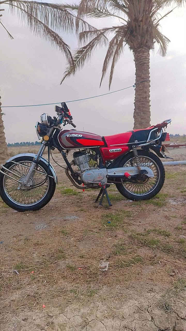 دراجه 2020 اوراق
المكان بابل الدبله
***********
***********
