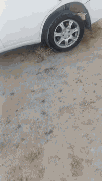 تيكو 13 رقم بغداد الدولي الجديد سنويه لل2029  تبريد ثلج بيها صبغ جاملغ...