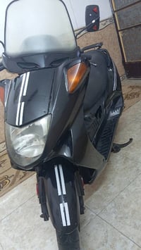 نضيفة • الفارس • صلاح الدين