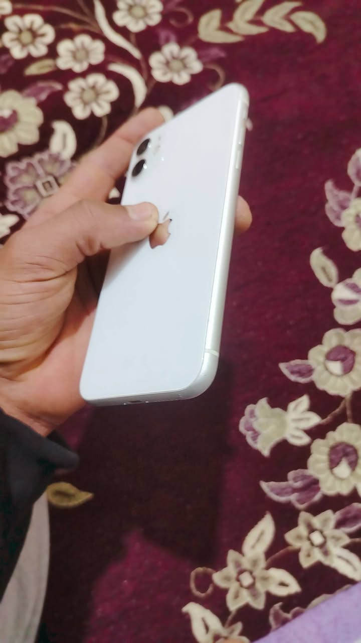 ايفون 11 عادي بطاريه 76 بلاد متصرف ذاكره 64 فيس ايدي شغال
سيمكارت كامرات صوت كله مكفول 
مبدل شاشه جي اكس اصلي فقط وجهاز كدام العين كله بشرط 
(سعر 195) رقم *********** كركوك روناكي
