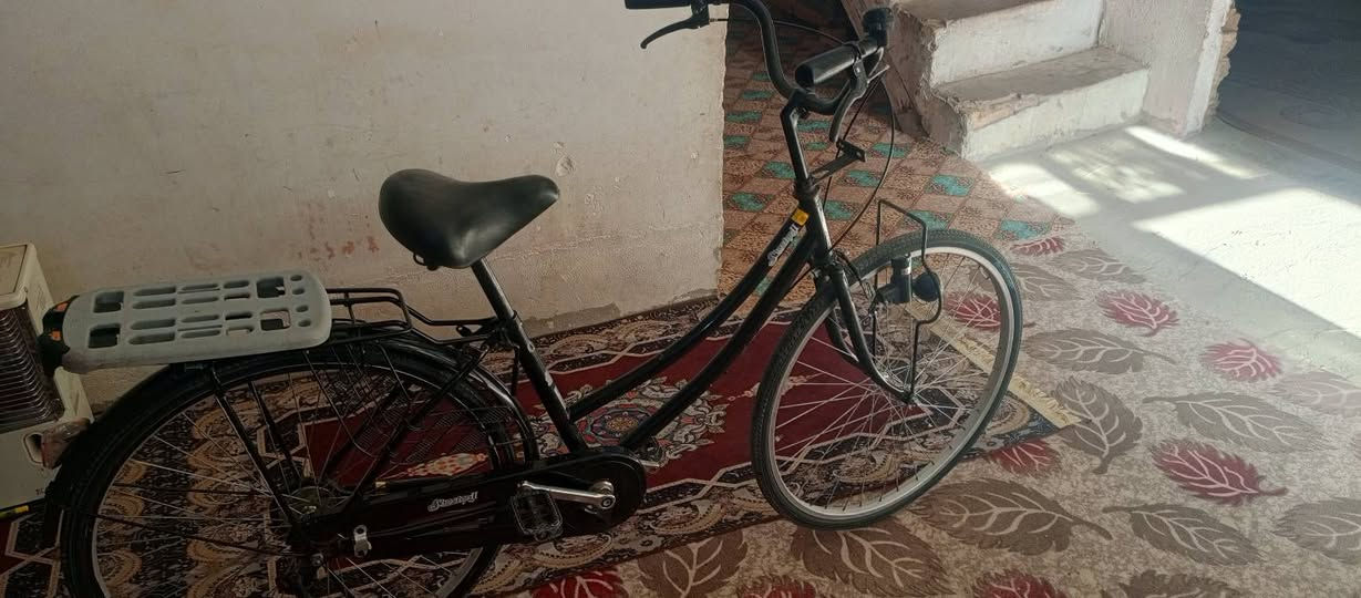 سلام عليكم باسكال للبيع حجم 26موديل 21قرب الكوفه قرب السايلون    السعر 130وبيي مجال ***********
