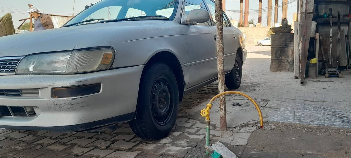 سلام عليكم كورله للبيع مكفوله كفاله عامه من كص واضربه ونقل جثه والصوليات تبريد حداديه خير من الله مكاني نجف السعر ٥٣ ابيه مجال الطيبين الاستفسار ***********
