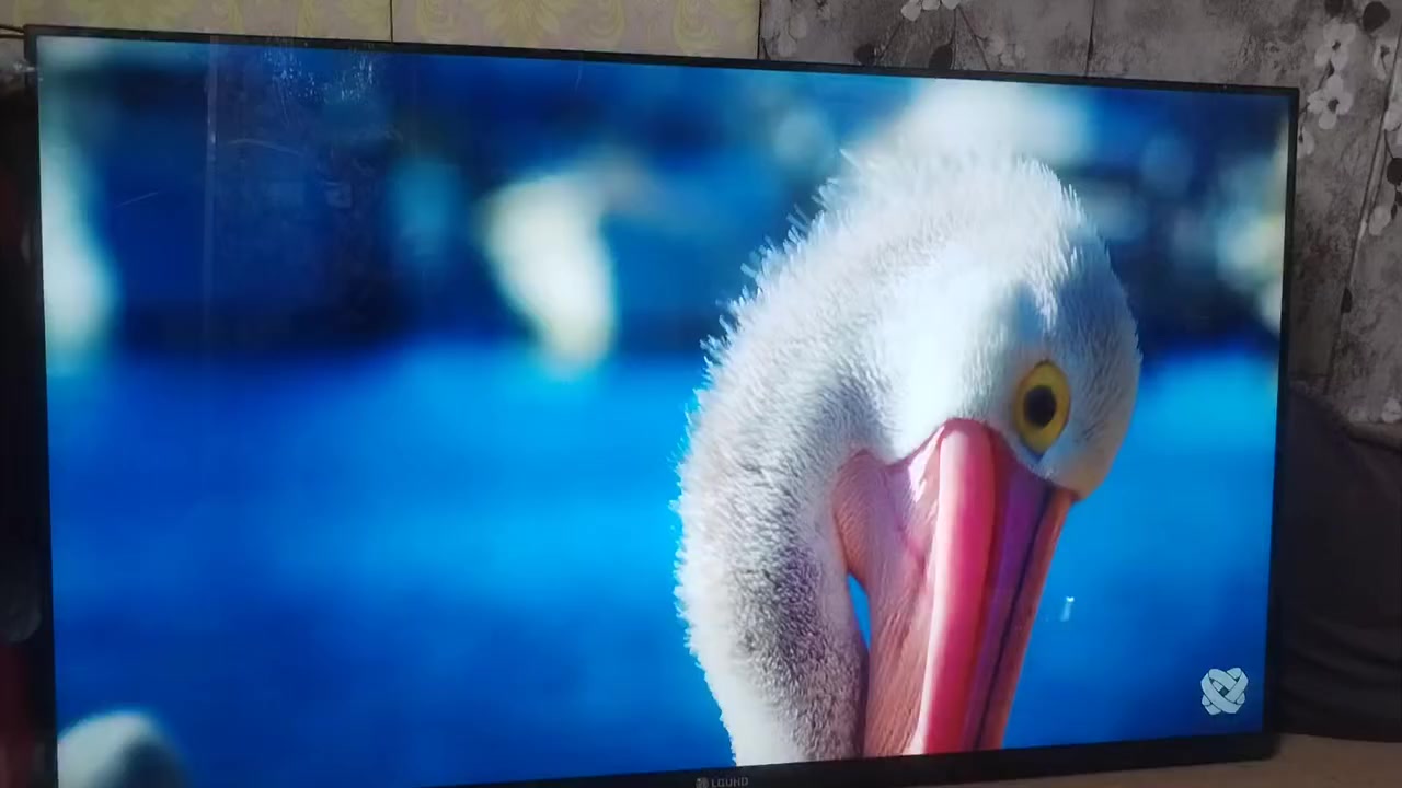 السلام عليكم بلازما LG UHDحجم 43 نت فول مواصفات جديده مامستخدمه بغداد مدينة الصدر/السعر 175


**إذا كنت صاحب هذا الإعلان وتريد حذفه لأي سبب، رجاءا أرسل رسالة إلى الدعم الفني**