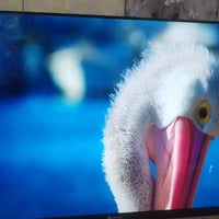 LG 43بوصة • UHD سمارت • بغداد مدينة الصدر