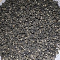 يوجد حب باميه للبيع حب درجه اولى شرط اليباس سعر الكيلو 10 آلاف للاستفس...