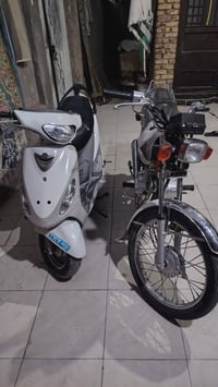 ذني ثنينهم للبيع الستفسار اتصل علة الرقم  07801071741