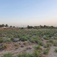 التاجي (البطه) • ٥ دوانم وربع • طابو زراعي