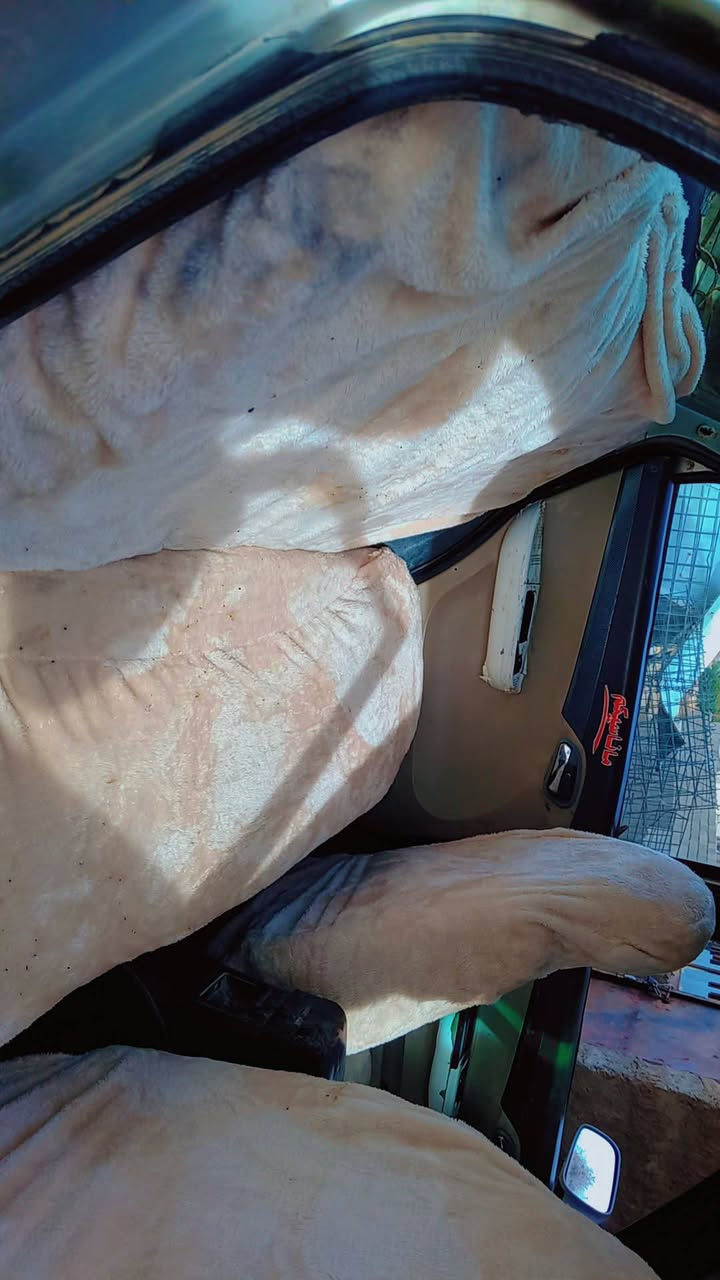 السلام عليكم سياره للبيع ليفان 520 
2008 السعر 15وبيها مجال ويرهم مراوس
 المكان قريه المسحك
للاستفسار ***********
