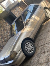 مارك كربلائي • ١٩٩٥ • مكفولة سنوية