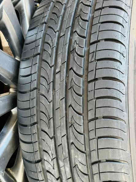 تخم ويل ماجستا حجم 17 نضافه مثل ماموضح بصور + تخم تاير كوري نتاج 24   *********** مكاني  ديوانية
