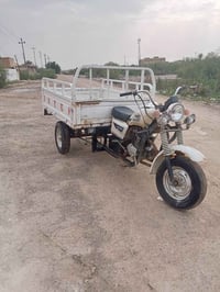 ستوته • ٢٠١٥ • اوراق