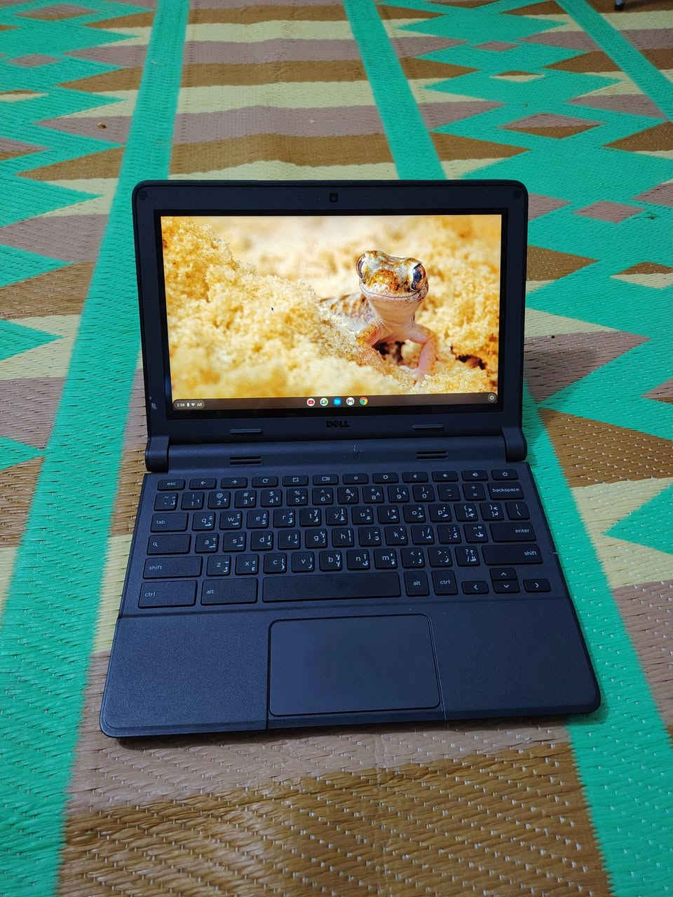 سلام عليكم حاسبة داض للبيع لمس حاسبة فول موصفات مابيها اينقص  وياها فقط شاحنا شراي يتصل وبخدمتة ***********
