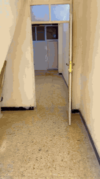 شقه  ل يجار ارضيه جديده ممر كبير وصاله ومطبخ كبير ومنور وحمام وغرفه شقه جدا حلوه ارضيه ل يجار  الاتصال او واتساب ***********
