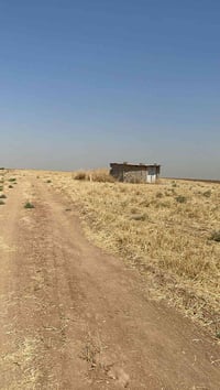 3000دؤنم زةوي بؤ فرؤشتن تابؤي  سعر 1 دؤنمي 20 وةرق مةجال هةية  بؤ زاني...