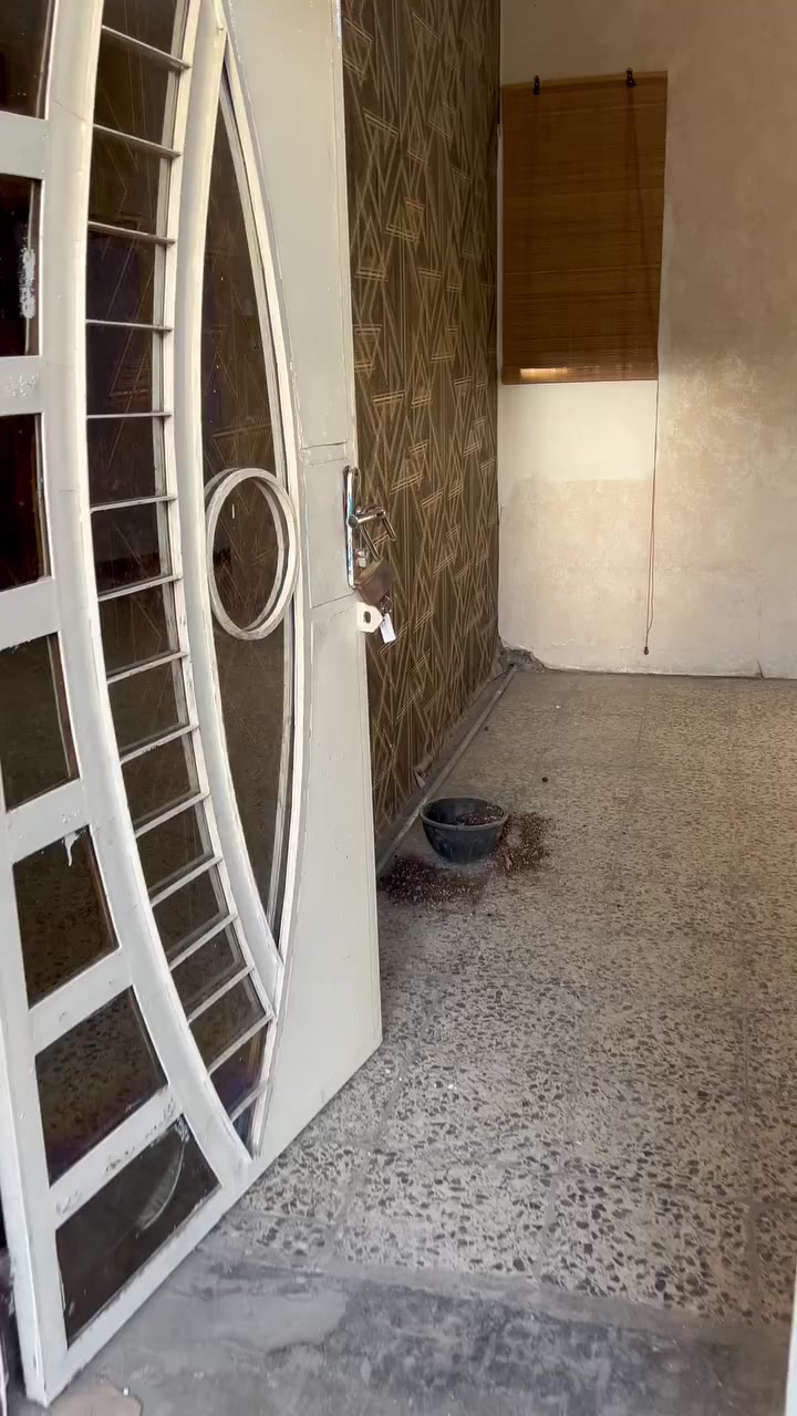 السلام عليكم دار للايجار مساحة114 متر متكون من 3 نوم وستقبال ومطبخ وخدمات العنوان الدورة الميكانيك

***********
