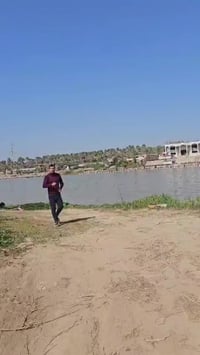 وبركاته 🌴 فرصة لا تعوض لعشاق البساتين والطبيعة 🌴 يتوفر بستان للبيع بمس...