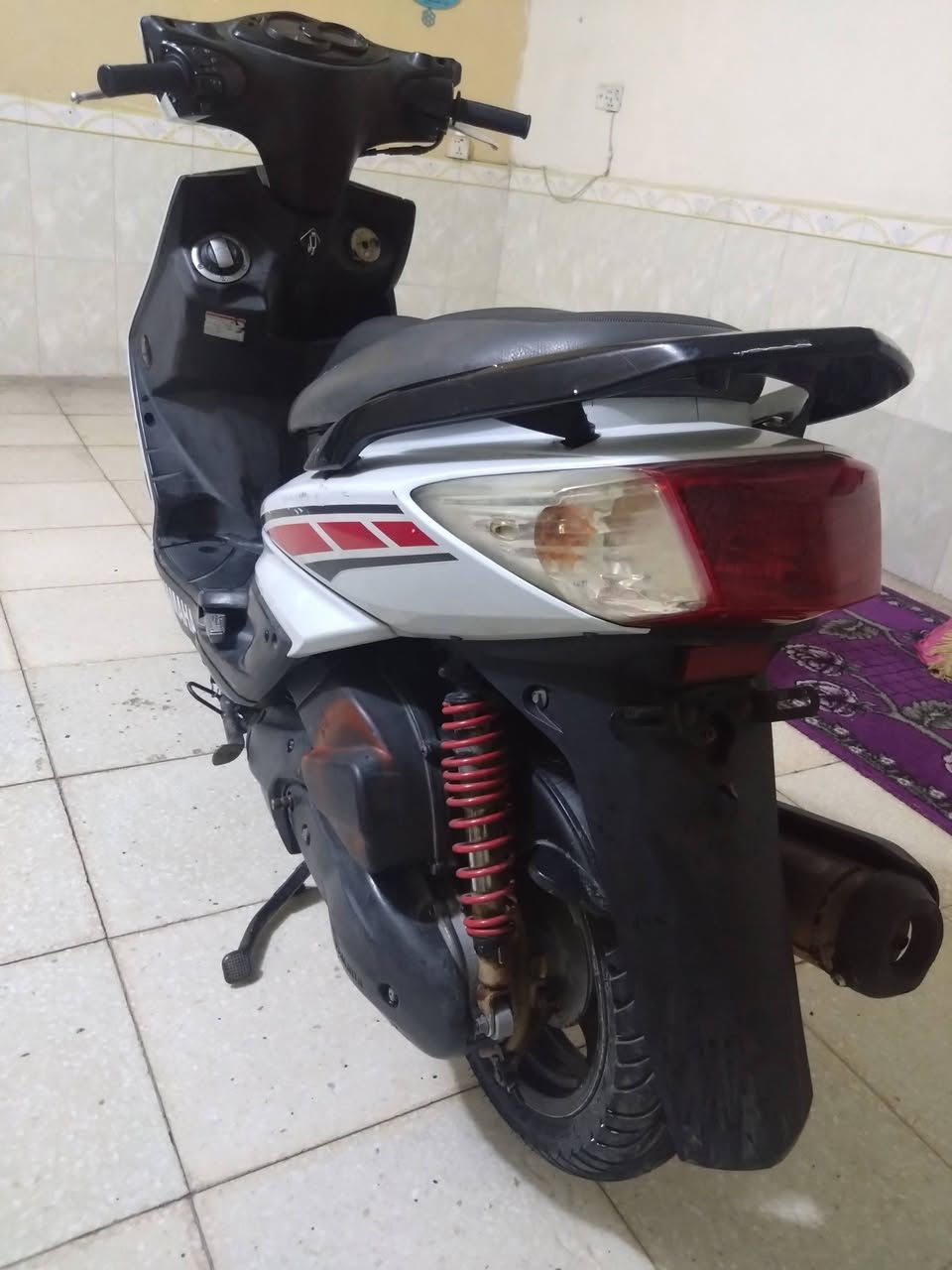 سلام عليكم اخوان للبيع سكنس فحل ياباني قبق نفخ استان كهربائي خمسينيه ام طلاعات جيب فيتر وتعال سعره مليون 500 مكاني بغداد الشعله هاتف ***********
