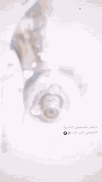 دراجه ماكس اللبيع مفتوحه بوشه وبستم دراجه مرتبه وحلوه سعر ٤٢٥ مكان ناصريه قضاء البطحاء ***********
