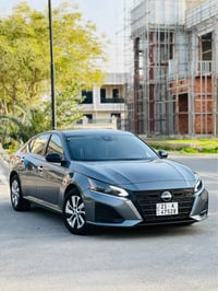 التيما • ٢٠٢٤ • رقم سليمانية