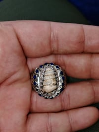 ٥ لويات • مغلف • سعر خاص