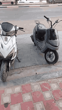 07887203873 تابع الفيديو