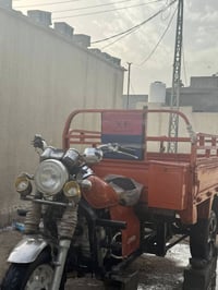 ستوته • إيفان • 2016