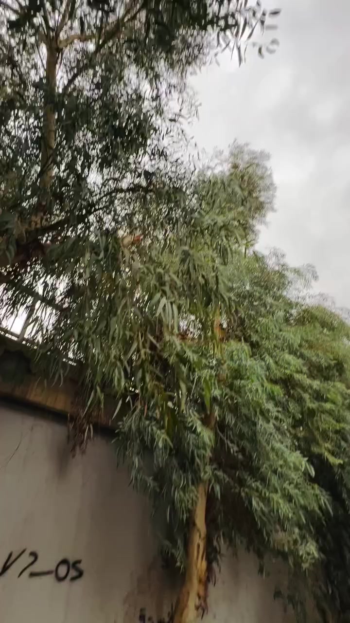 السلام عليكم ✅رابيدو حربي فول 🦅 حرفR الاصلي شرط ✅ موديل 2025 ✅ الدراجه تطبيق جديد ✅ تحريكه معدل نار 🔥 مكينه شرط مامفتوحه✅ الدراجه خير من الله 💎سعر650 ✅وبيها مجال.قليل حيل🤏🏻  ✅ مكاني موصل  دواسة ✅شراي ‬‏ راسلني خاص وأدلل أو علق واجيك خاص


**إذا كنت صاحب هذا الإعلان وتريد حذفه لأي سبب، رجاءا أرسل رسالة إلى الدعم الفني**