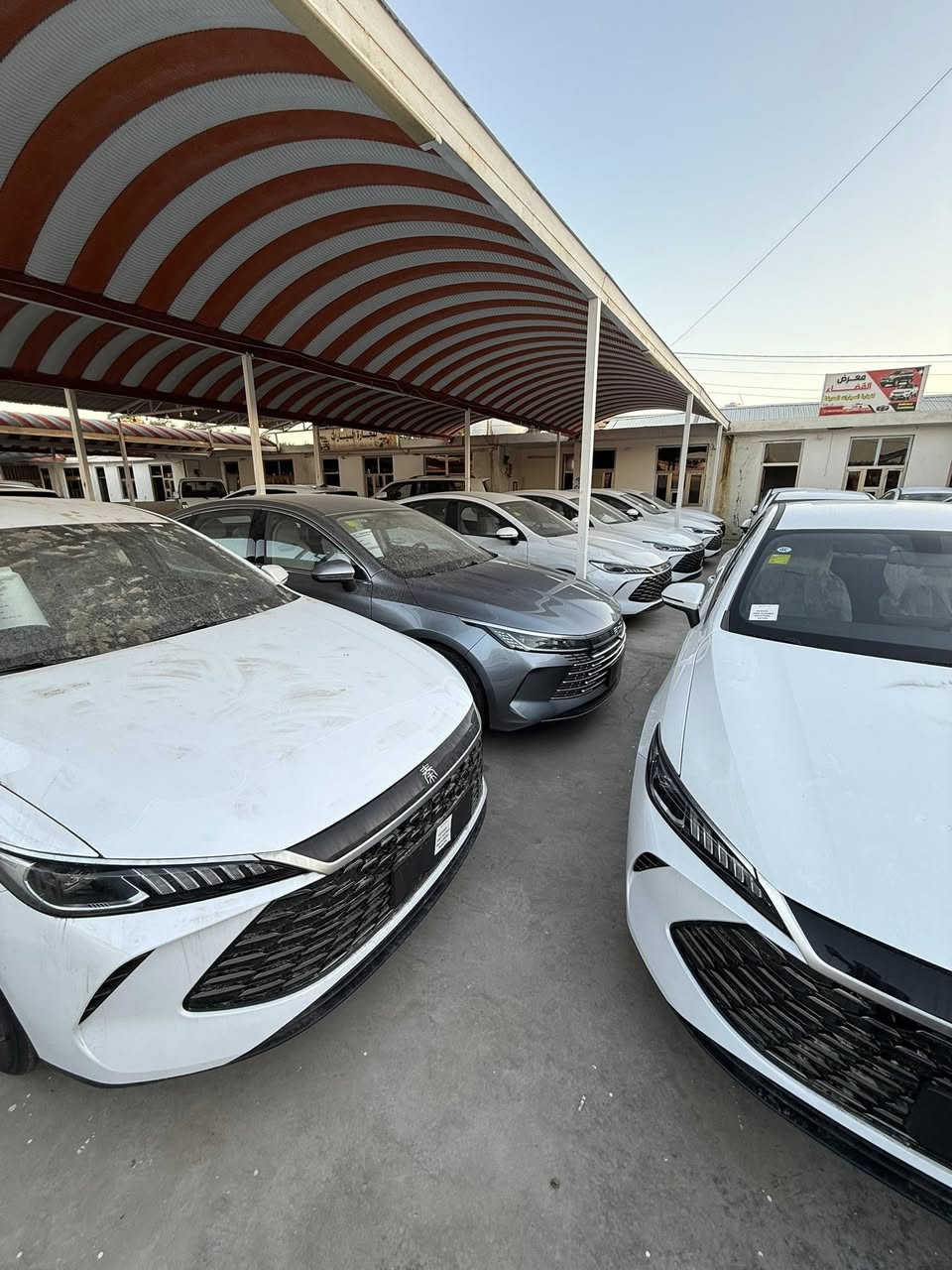 توفر بي واي دي كن بلص موديل 2025 

اليكم المواصفات: 

انتبه السياره : هايبرد & بانزين & كهرباء يعني التفويله الوحده بانزين نمشيك 2100 كيلو
سعه التانكي 65 لتر
موديل 2025
حساسات
حجم المحرك 1.5
شاشه اصليه
كامره خلفيه
هند بريك كهرباء
دشبول شاشه ديجيتال
اوتو هولد
مفتاح التشغيل بصمه
تشغيل عن بعد تحكمات مقود
اوامر صوتيه
منفذ طاقه
منافذ شحن
جلد حياكه
دخول ذكي
3 وضعيات قيادة
اشاير بالمري
نتسع المقصورة ل 5 ركاب
المقاعد جلد رياضي
اريل نفكيتر
اناره داخليه LED
لد امامي LED
قطعتين تبريد
مثبت سرعة
حجم الاطار 16
مانع تزحلق
شاحنه خلفية
كير كرستال 
البطارية ليثيوم الاقوى والاطول عمرا في عالم الهايبرد
بصمه مع كارت 

للاستفسار : ***********
السعر : 18.600.000 دينار عراقي فقط صافي
