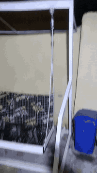 مكلف بالنشر
مرجوحه للبيع السعر200 بيها مجال بسيط داخل الناصريه   ‏‪0782 704 6104‬‏
