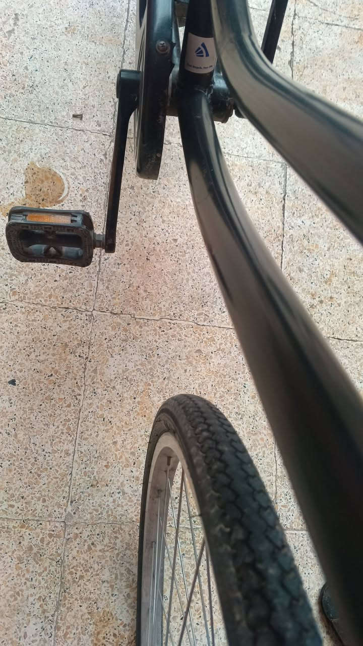 سلام عليكم
الحلال للبيع باسكل عبد الحليم شركه فورماج باسكل لون اسود الباسكل نضيف غراضو كامله طفاريات وبريك كدام ابيعو هو والغراض باسكل تجي تشوفو كدام العين كفاله عامه من التايه للتايه الباسكل سعرو 90 وبي مجال خاص او رقمي ***********
