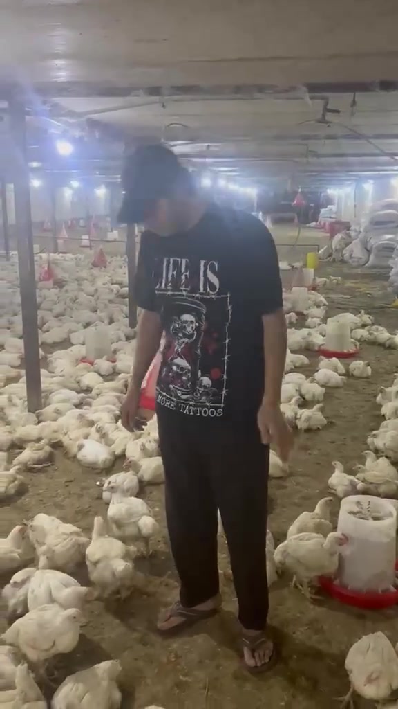 اللهم صل ع محمد وال بيت محمد 🧿🧿 
اللهم زد وبارك 
امانه الله ورسوله الدجاج ذبح كل يوم بيومه 
وشرط دجاج صاحي ومحلي ودرجه اولى 
وصينه المندي ب10 آلاف ولله يبارك بربح القليل 
كربلاء شهداء سيف سعد مقابل مدرسه دير ياسين 
***********
