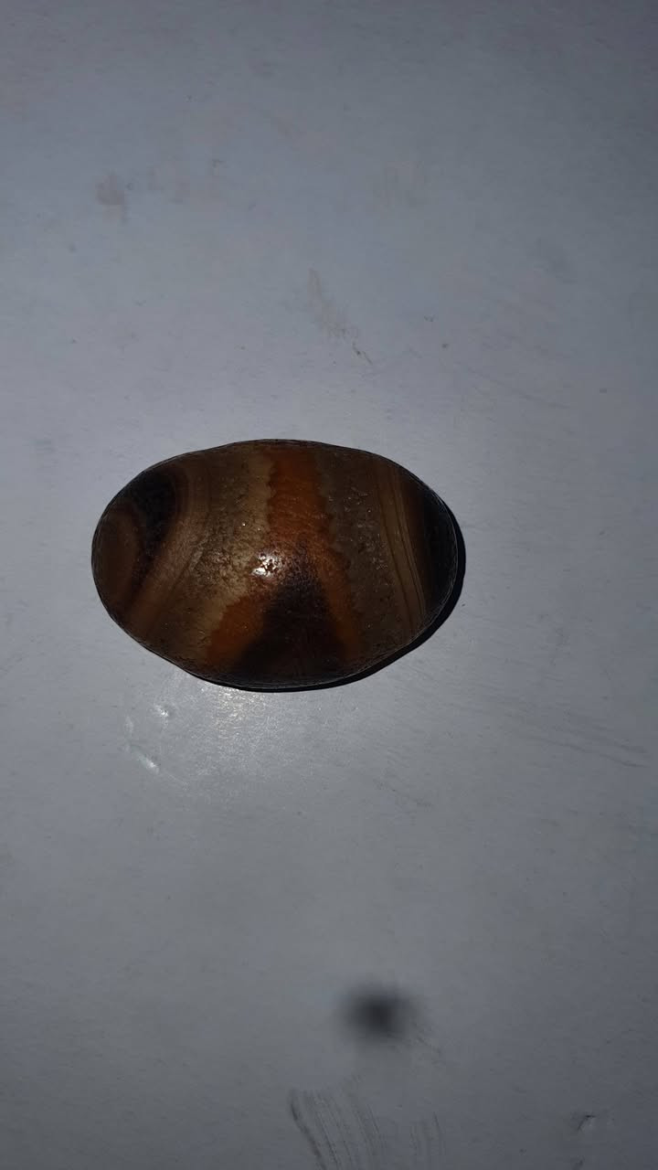 هندي قديم سليماني


**إذا كنت صاحب هذا الإعلان وتريد حذفه لأي سبب، رجاءا أرسل رسالة إلى الدعم الفني**