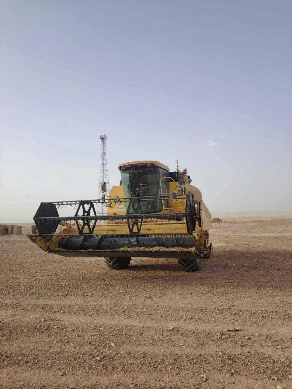 سلام عليكم دراسة نيهولند خمسه بلم قايش البيع٢*********** ٢٠٠٠
