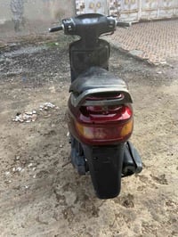 فراشه • زنون • حي جزائر