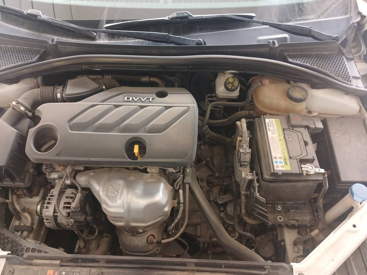 السلام عليكم
Mg gt  2023 ماشيه ٥٥ الف بيه كم قطعه بارد طخات بسيطه باسم مصرف وكاله فقط رقم بغداد   استقطاع مباشر السعر ١٠٠ مجال بسيط عنوان بغداد    للإستفسار ***********
