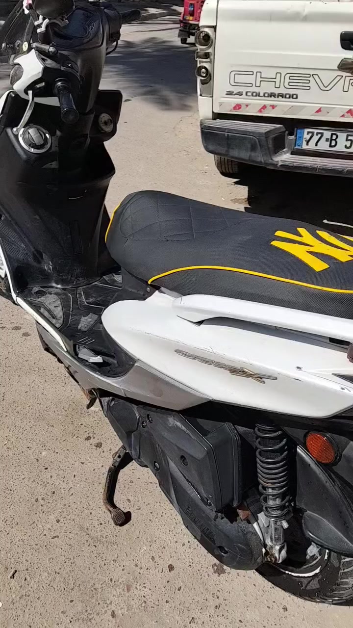 سكنس فحل شمعة ياباني مكفولة مامفتوحة موديل 18
السعر مليون و 650 بيه مجال بسيط 
مدينة الصدر 
***********
