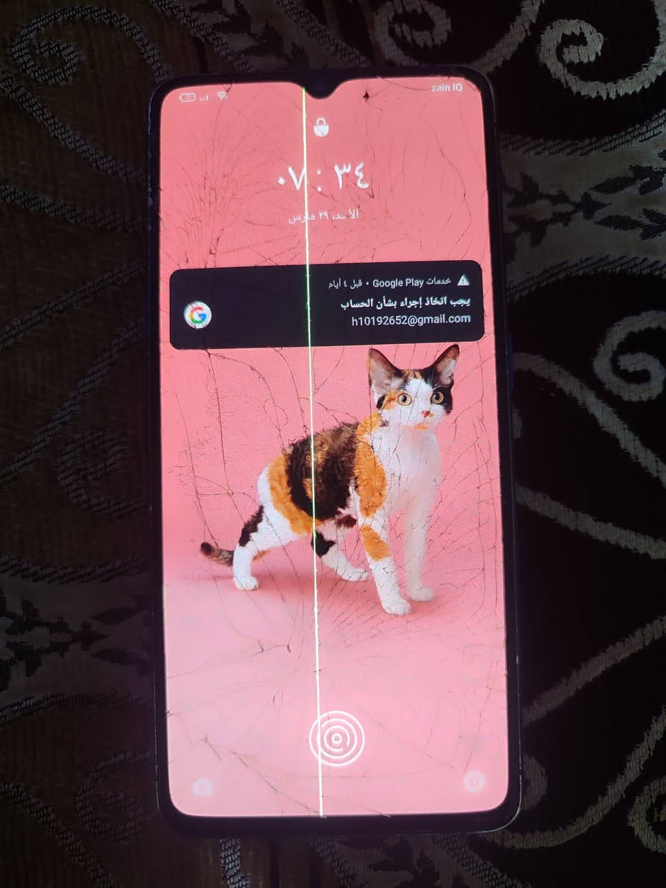 ريلمي اكس تو برو شغال بي خط بشاش مامثر على المس وشاشة مكسره ذاكر 256 بل بوبجي يخبل يشغل 90فريم اسعر 100
وريدمي نوت 12 برو كلشي مابي ذاكره 256 يشغل 60فريم أسعر 125


**إذا كنت صاحب هذا الإعلان وتريد حذفه لأي سبب، رجاءا أرسل رسالة إلى الدعم الفني**