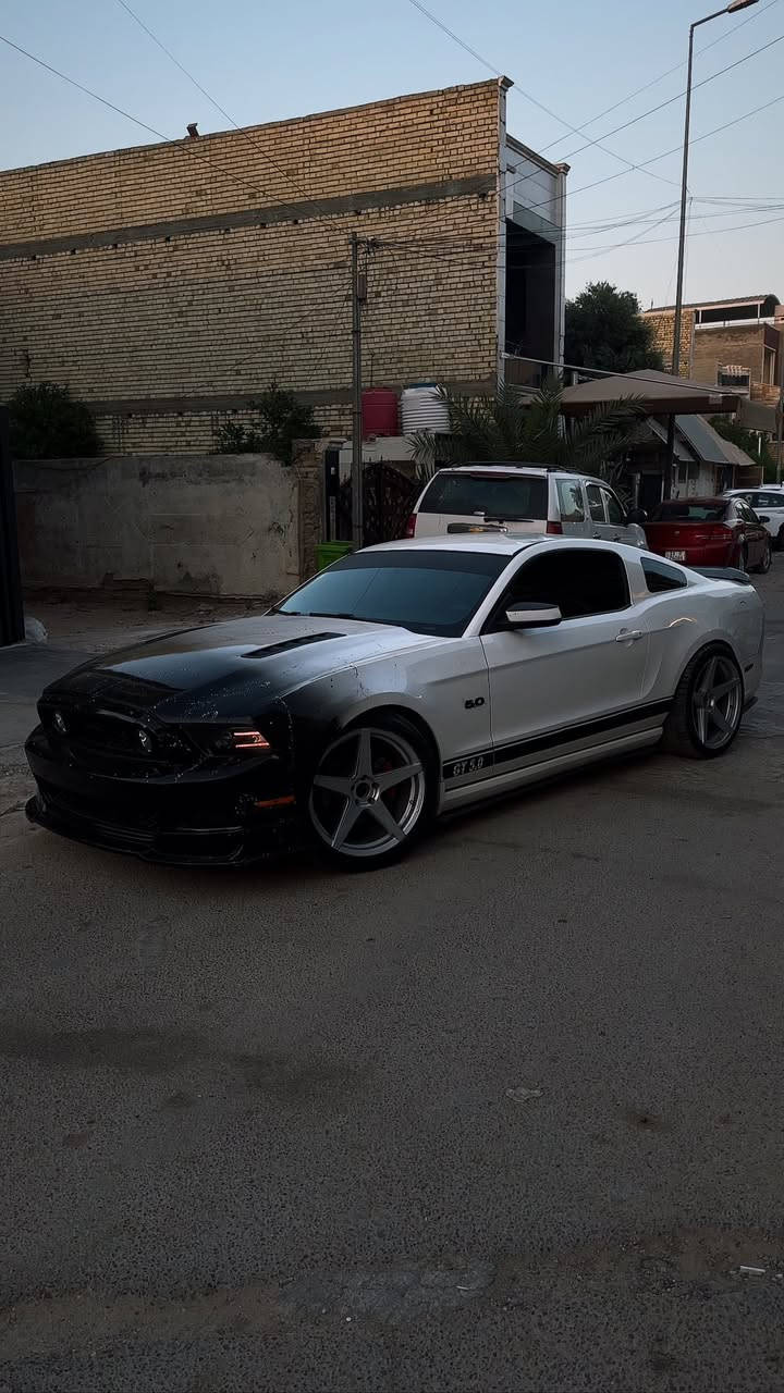 موستنك gt 2013 بريميوم فول
عليهه هدرز لونك امريكان ريسنك
وعليهه شوته AIRAID
حشوه المكينه مزوده
عليهه برمجه
السياره فول هوائيات 
السياره شتريتهه حزام بس هيه مو 
حزام بيهه قطع
غرفتهه جلد جديده كلش
تخم تاير جديد بلجيس
وياله فويسن 20
صدر امامي خلفي جديد
السياره نقصهه تبريد شتريتهه كلي منقصه غاز ومافحصت على حطتهه 
رقم بغداد الجديد
هزه وسنويه جديدات 
هزه بعد 9 اشهر يله تسقط والسنويه 2032
سعرهه 128
مكان السياره بغداد اليرموك ***********
